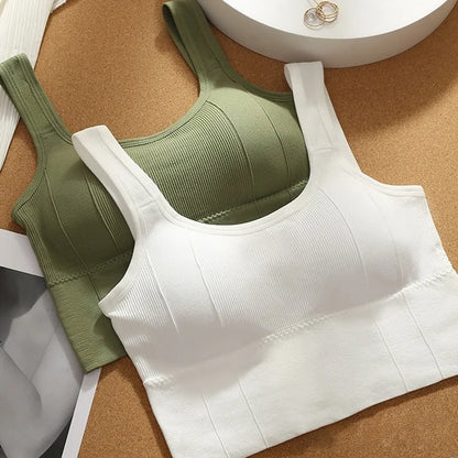 Sujetador deportivo transpirable antisudor para mujer, Top de Yoga sin costuras, Top corto a prueba de golpes, Sujetador deportivo Push Up, Top de entrenamiento para gimnasio