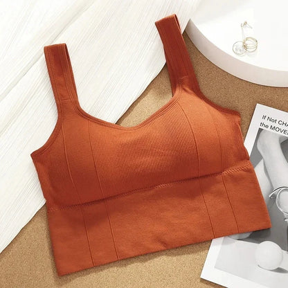 Sujetador deportivo transpirable antisudor para mujer, Top de Yoga sin costuras, Top corto a prueba de golpes, Sujetador deportivo Push Up, Top de entrenamiento para gimnasio