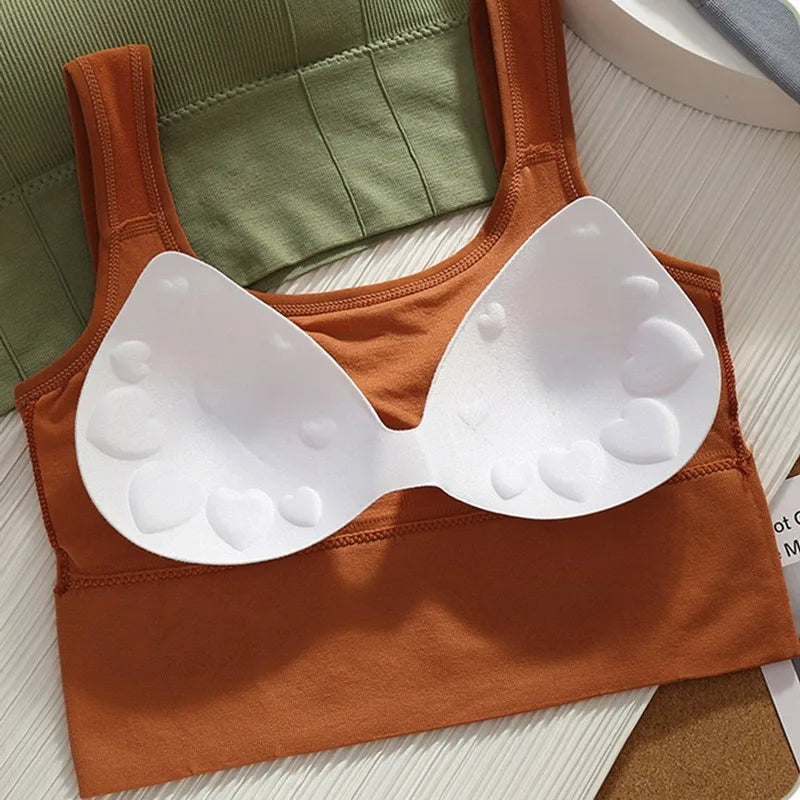 Sujetador deportivo transpirable antisudor para mujer, Top de Yoga sin costuras, Top corto a prueba de golpes, Sujetador deportivo Push Up, Top de entrenamiento para gimnasio