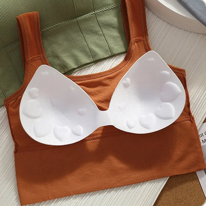 Sujetador deportivo transpirable antisudor para mujer, Top de Yoga sin costuras, Top corto a prueba de golpes, Sujetador deportivo Push Up, Top de entrenamiento para gimnasio