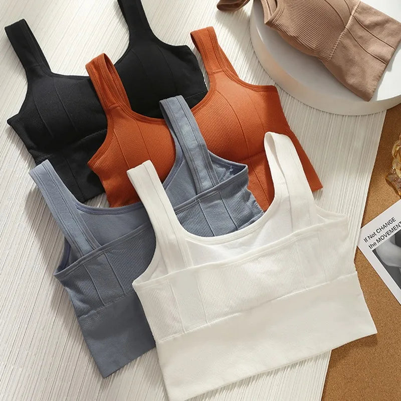 Sujetador deportivo transpirable antisudor para mujer, Top de Yoga sin costuras, Top corto a prueba de golpes, Sujetador deportivo Push Up, Top de entrenamiento para gimnasio